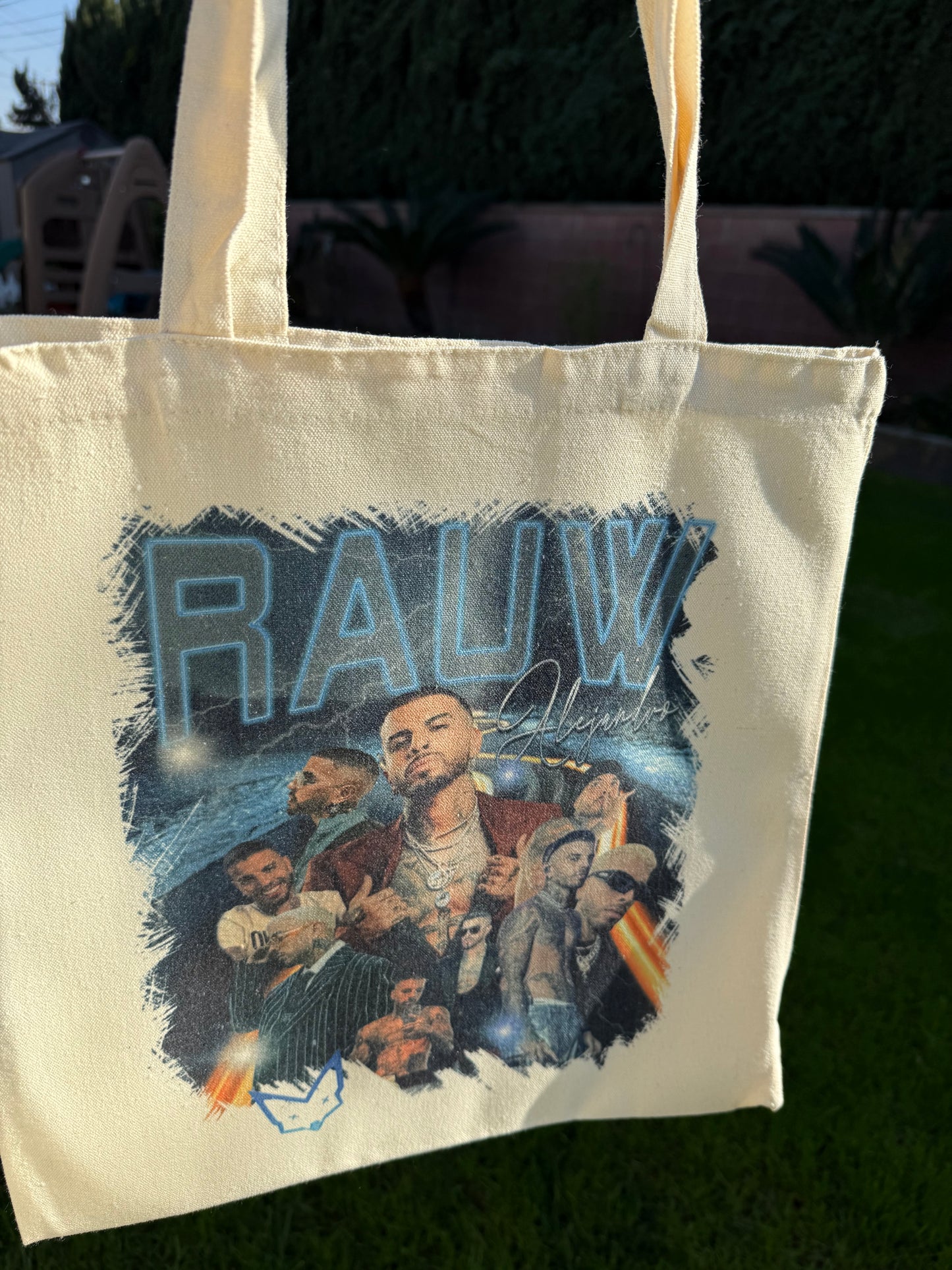 Ale Singer Canvas Tote Bag